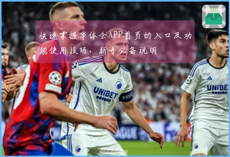 快速掌握华体会APP首页的入口及功能使用技巧，新手必备说明